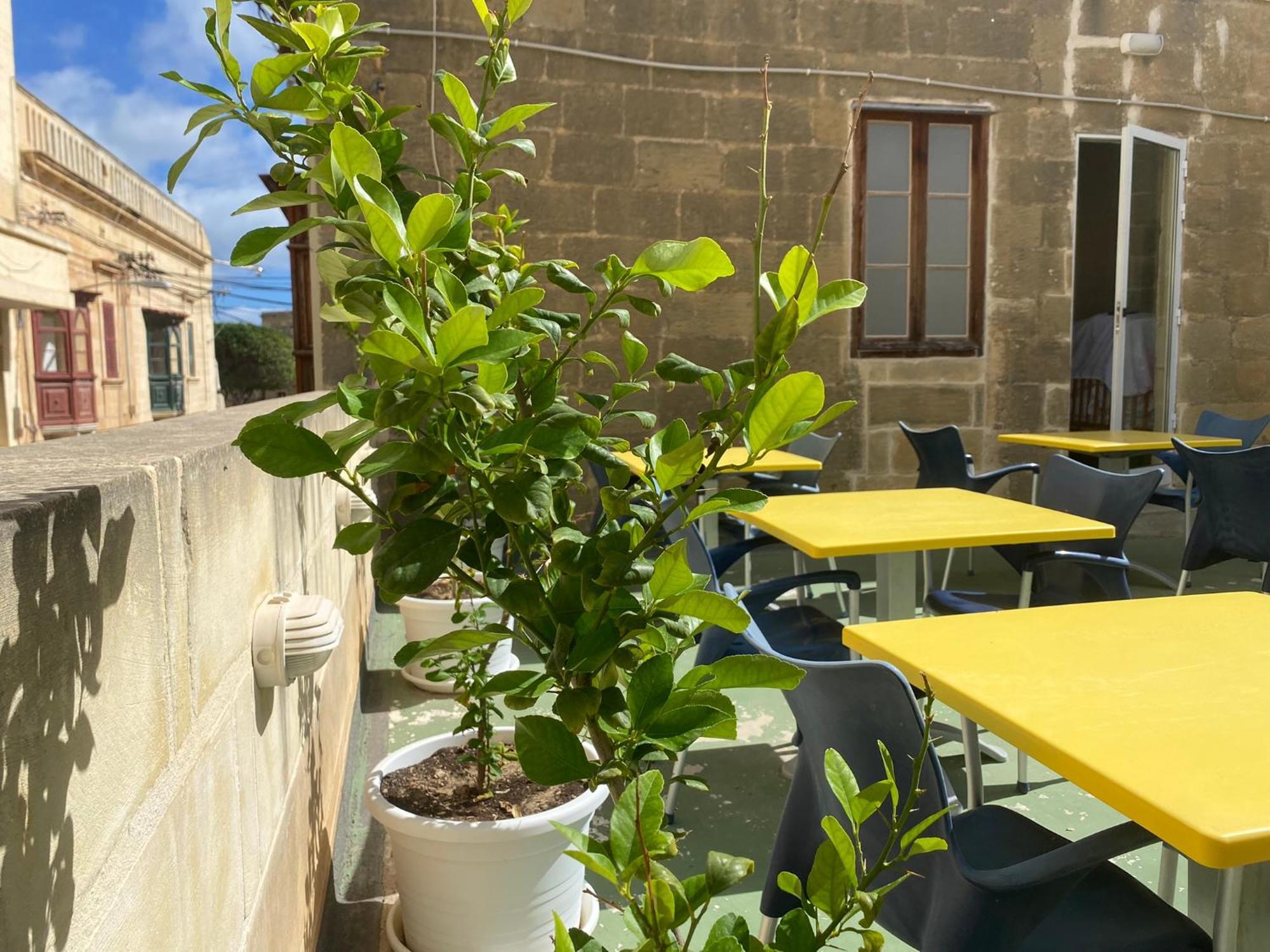 Xemx Hotel Qala Екстериор снимка